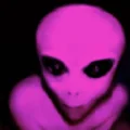 fuchsia-follows-u